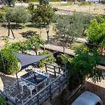 Sole House Terricciola