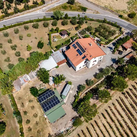 Sole House Appartamento Terricciola