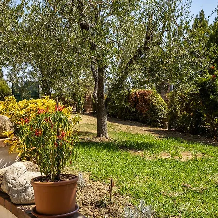 Sole House * Terricciola